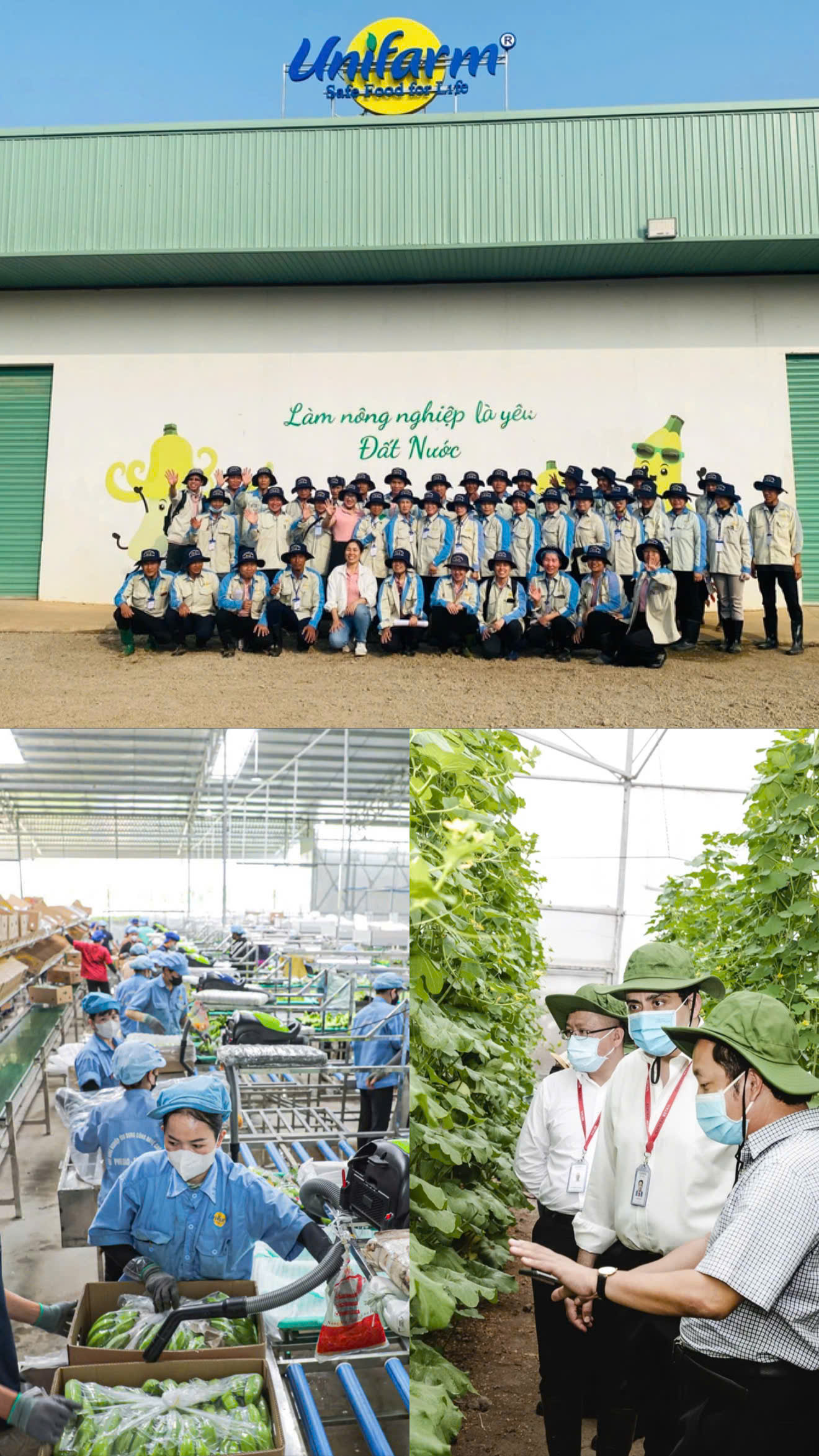 CÔNG TY CỔ PHẦN NÔNG SẢN GIÁ TRỊ